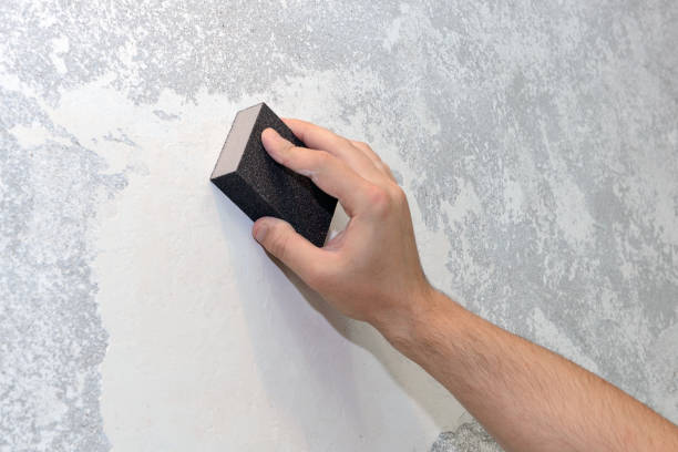 Best Mold Odor Removal Services  in Mount Vernon, MD