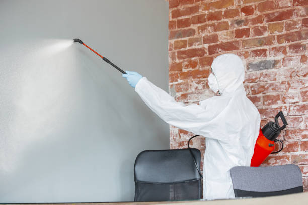 Best Mold Remediation for Healthcare Facilities  in Mount Vernon, MD