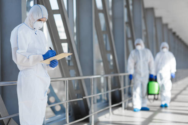 Best Mold Removal for HVAC Installations  in Mount Vernon, MD