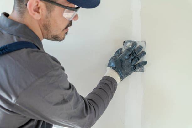 Best Biohazard Mold Removal  in Mount Vernon, MD