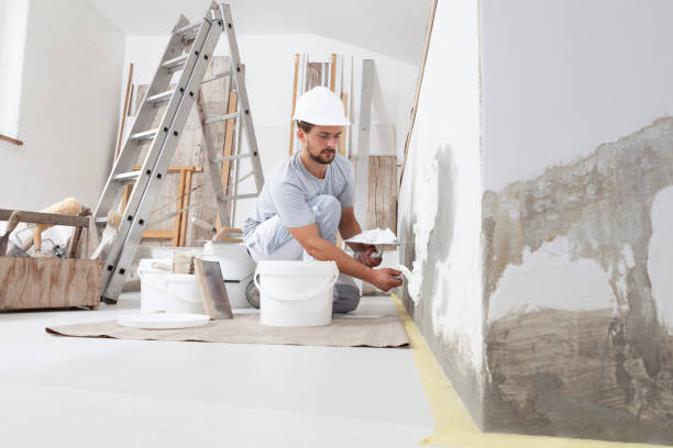 Best Comprehensive Air Testing for Mold Contaminants  in Mount Vernon, MD