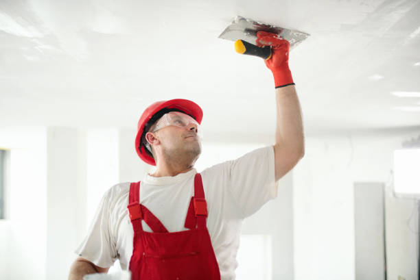Best Water Damage & Mold Remediation  in Mount Vernon, MD