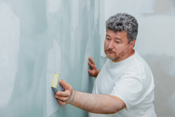  Mount Vernon, MD Mold Removal Pros