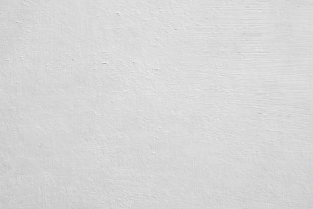 Best Mold Prevention Services  in Mount Vernon, MD