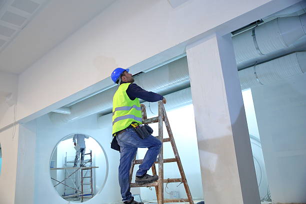 Best Black Mold Removal  in Mount Vernon, MD